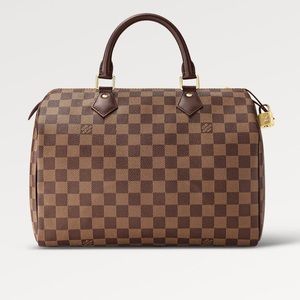 Louis Vuitton Damier Ebene Speedy 30! Excellent condition!